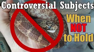 Con-Sub: When NOT to hold your Snake by Snake Discovery