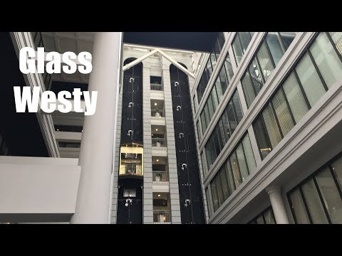 Awesome Scenic (but modded) Westinghouse Traction Elevators @ Cray Plaza - St. Paul, MN