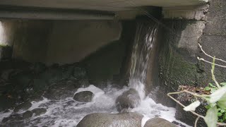 [問題] 新竹縣七成民生用水恐受重金屬污染！