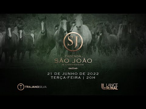 LOTE 01 - RZ DAMA DE ORO DA CARAPUÇA