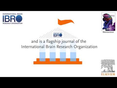 Neuroscience: An International IBRO Journal