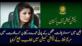 No restriction on convicted person holding party position: Maryam responds to ECP
