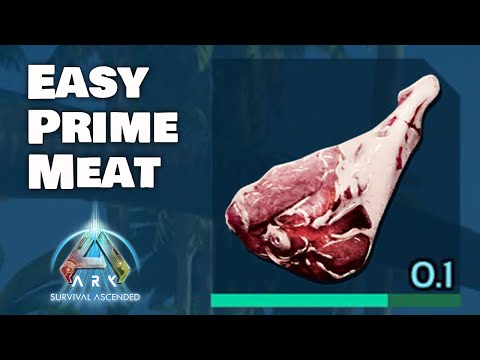 How to get EASY Raw PRIME Meat in Ark Survival Ascended.