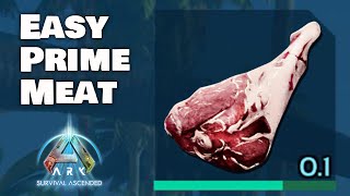 How to get EASY Raw PRIME Meat in Ark Survival Ascended.