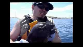 preview picture of video 'Nova Scotia Kayak Fishing for Flounder/Pollack/Cunner'