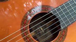 Video thumbnail for Yamaha G-170a by Michael Pekar