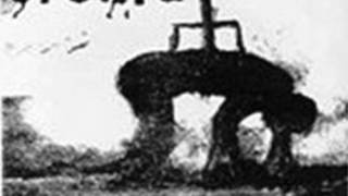 Orchid/Pig Destroyer split 7"