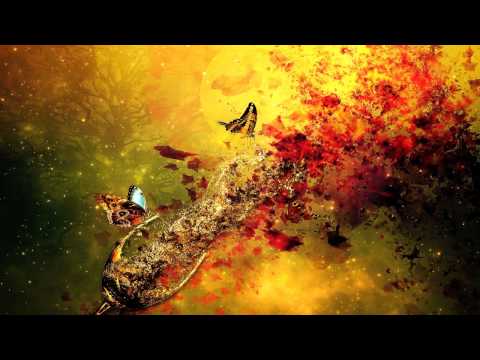 Carbon Based Lifeforms - The Path [Full Album HD]