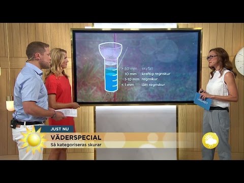 Skyfall eller lätt skur - så vet du! - Nyhetsmorgon (TV4)