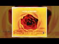Ace Of Base Travel To Romantis Singles 17