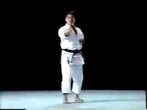 Pinan Shodan Shito Ryu