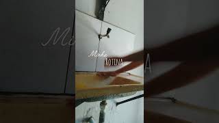 #vlog #minivlog  #donadecasa