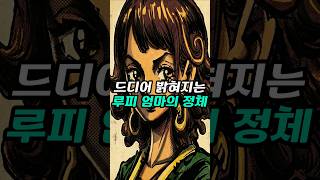 원피스 루피 엄마는 '조이보이'의 직계 후손입니다  드디어 단서가 잡히네요