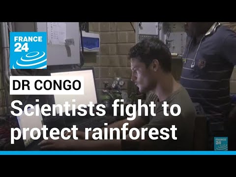 The DR Congo rainforest, from a FRANCE 24 report on the scientists working to protect it