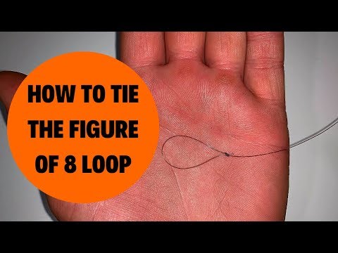 The figure of 8 loop knot