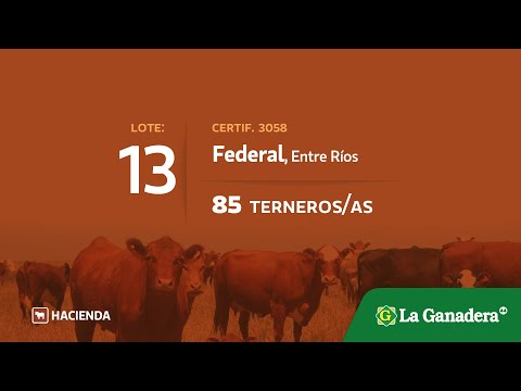 Lote Terneros/as en Federal