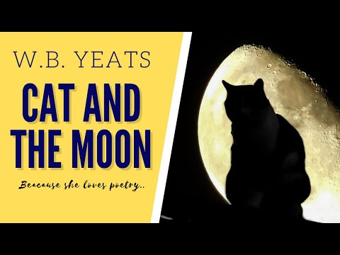 Cat and the Moon by W.B. Yeats