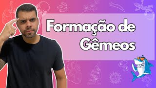 Embriologia - Aula 6 - Formação de gêmeos