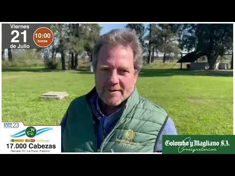 Juan Pedro Colombo - Colombo y Magliano S.A. - Remate Televisado Argentina Ganadera - 21-07-23