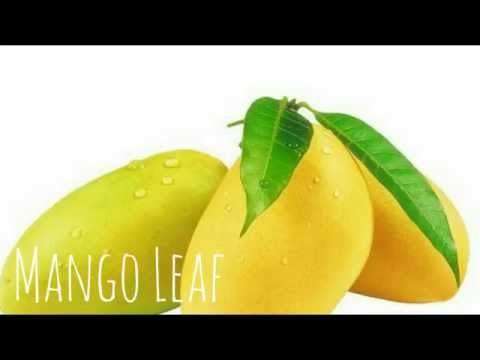 5-STAR - Mango Leaf [PNG Music 2015]