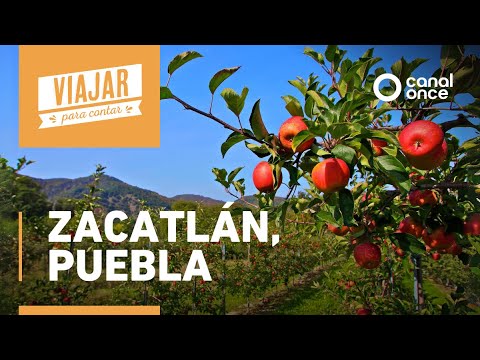 Viajar para contar - Zacatlán, Puebla