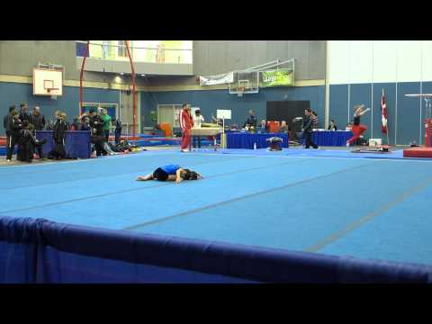 Gymnastic Meet - 2014