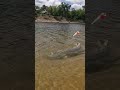 Does BIG Bait EQUAL Big FISH ️ Find Out Personal BEST