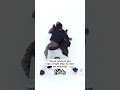 Fleece Johnson The Booty Warrior On 20 Vs 1 Touching Men