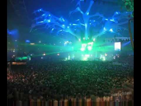 yasa sahib ork kitka 2008