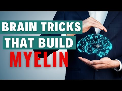 5 Brain Tricks to Help Rebuild Myelin & Support Peripheral Neuropathy Recovery Naturally