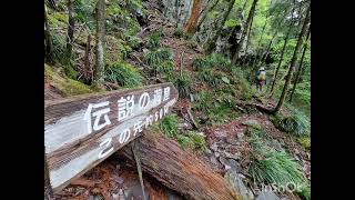 稲叢山　2025.5.10