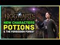 Hogwarts Legacy - New Characters, Confirmed Potions & The Forbidden Forest