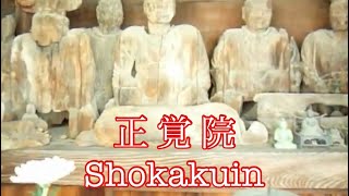 preview picture of video 'Many wooden statues. Syoukakuin(正覚院) on a hill in Japan.'