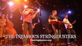 THE INFAMOUS STRINGDUSTERS - Mountain Town - live @ The Ogden