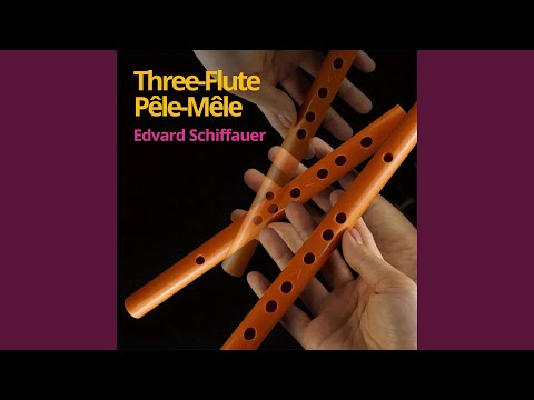 Napadla mě píseň (A Song Came to Me)