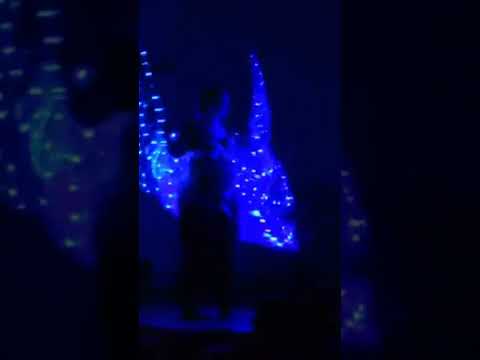 LED isiswings #music #stepup #dance #jedinah #isiswings #led #blue #stage #show #auftritt #darkside