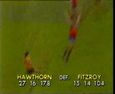VFL Football R19 1988 - Hawthorn v Fitzroy