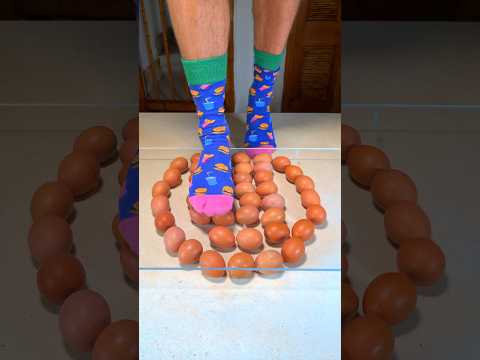 Guess how many eggs it takes to stand! 🥚😳