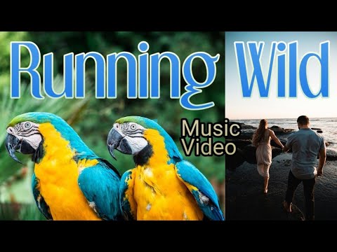 Wiguez, Vizzen, Maestro Chives - Running Wild [NCS Music Video]