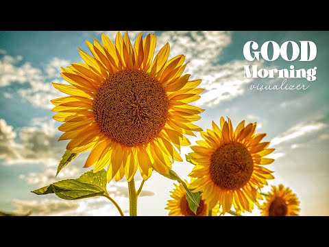 Chiquis, Aston Barrett JR.  - GOOD Morning / Buenos Dias (Visualizer)