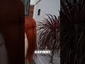 Ice Spice FIGHTS Over OZEMPIC