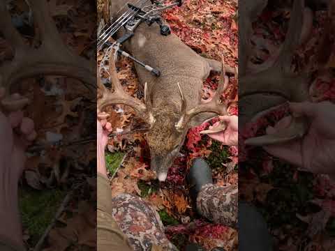 Slick - Trick Flower