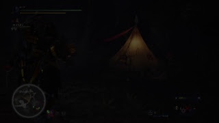 珠集めに勤しむかい