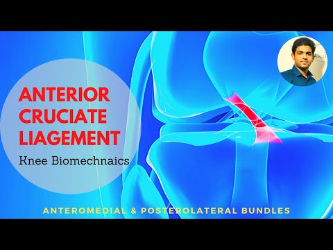 ANTERIOR CRUCIATE LIGAMENT # ACL( Biomechanics and anatomy| Knee biomechanics)