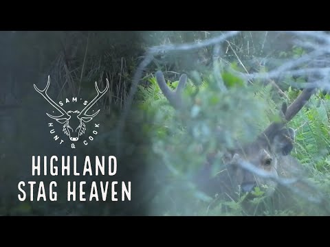 Highland Stag Heaven - Hunting Sambar Stags In The Victorian High Country
