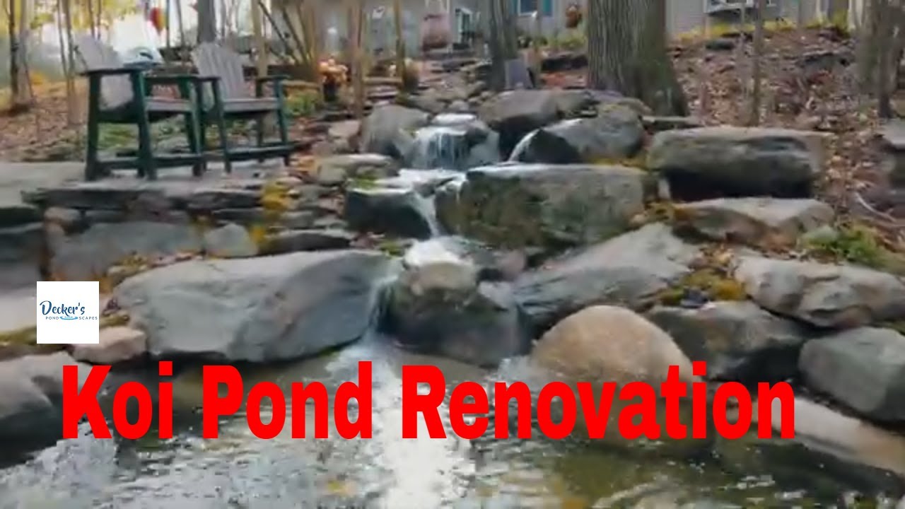 Pond Build