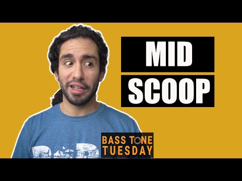 All About Those Mids | Bass Tone Tuesday