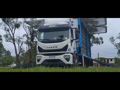 26-10-2025 : Suelta del CIP desde Santo Tome, Corrientes