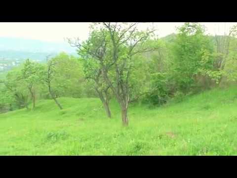 Building land plot for sale 4907sqm in Breaza, Valley of Prahova (Romania) video