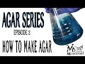 🍄Liquid Mushroom Culture [Agar Series - Episode 2]🍄The best way to make Agar! Recipe Included